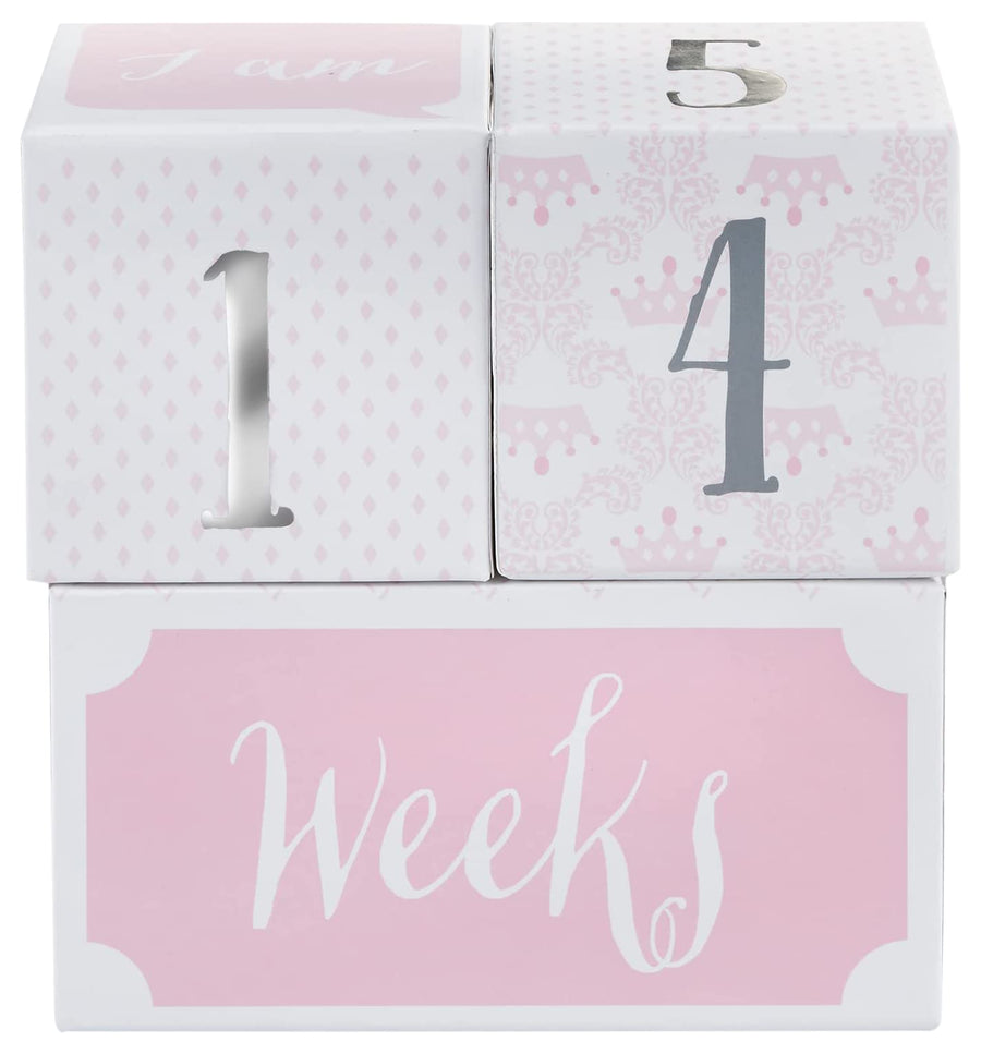 My First Milestone Princess Age Blocks | Baby Picture Props for Photo Sharing The First Year