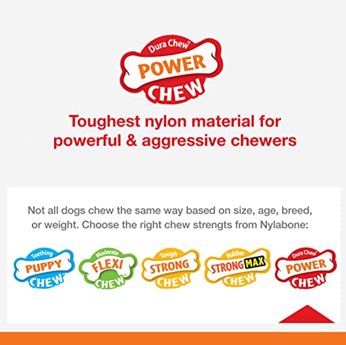 Dental Dinosaur Power Chew Toy for Dogs, Dog Toys for Aggressive Chewers, Chicken Flavor, Small - Up to 25 lbs, 1 Count