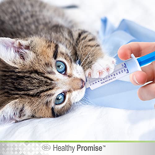 Healthy Promise Easy Feeder Pet Feeding Syringe