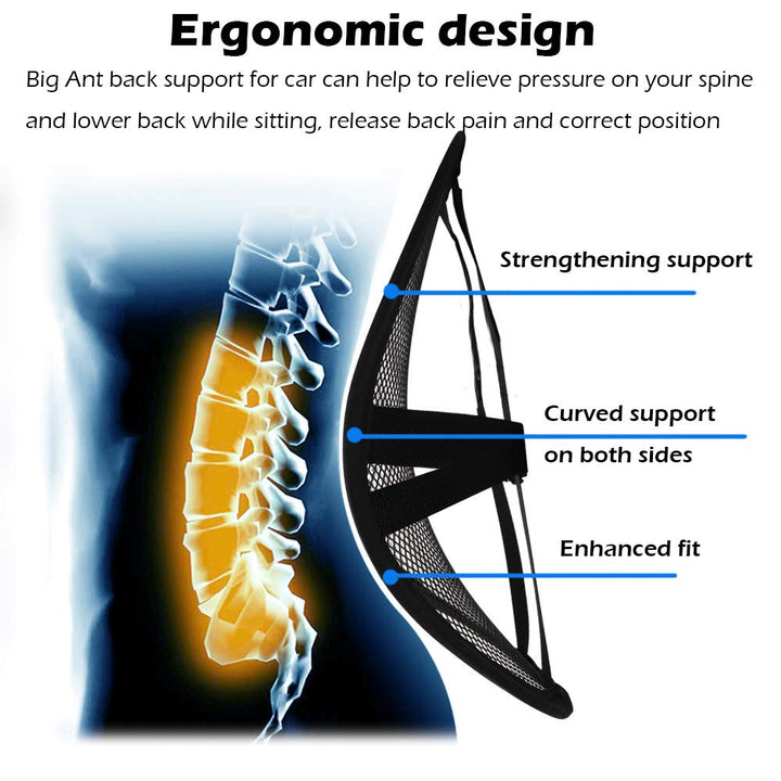Lumbar Support, Car Back Support Mesh Double Layers Ergonomic Designed for Comfort and Lower Back Pain Relief - Car Seat Lumbar Support for The Driver, Office Chair, Wheelchair