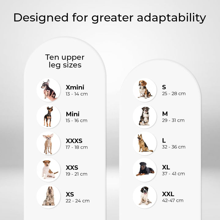 - Knee Brace for Dogs with Cruciate Ligament Injuries, Patella Dislocation or Osteoarthritis, L, Right Leg