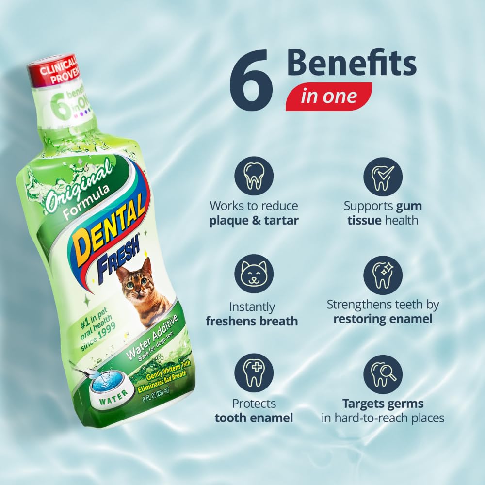 Water Additive for Cats, Original Formula, 8 oz – Cat Breath Freshener – Products for Cats to Help Overall Cat Dental Health