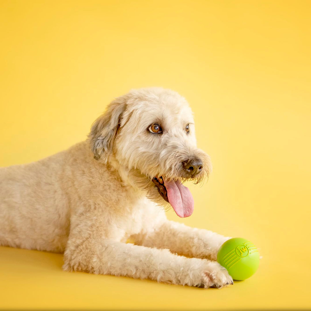 Pet Dog iSqueak Ball Dog Toy, Large, (Assorted Colors)