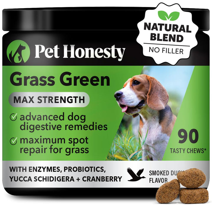 PetHonesty Grass Green Max Strength Burn Spot Chews for Dogs - Premium Formula - Dog Pee Lawn Spot Saver Supplement Caused by Dog Urine, Supports Healthy Digestion w/Probiotics + DL-Methionine - 90ct