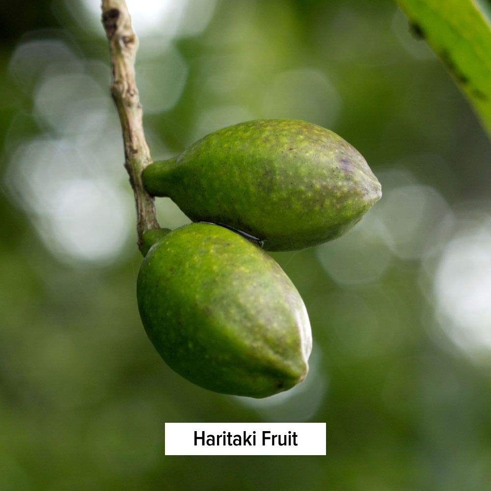 Haritaki Powder - Certified Organic, 1/2 Pound – Terminalia chebula – for Detoxification & Rejuvenation* – Organic, Vegan, Non-GMO, Gluten Free, Certified Fair for Life Fair Trade