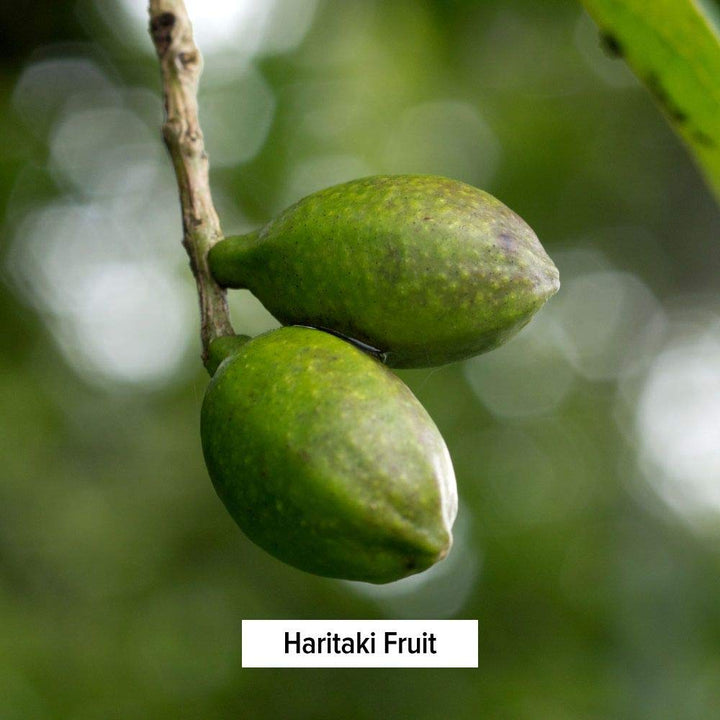 Haritaki Powder - Certified Organic, 1/2 Pound – Terminalia chebula – for Detoxification & Rejuvenation* – Organic, Vegan, Non-GMO, Gluten Free, Certified Fair for Life Fair Trade