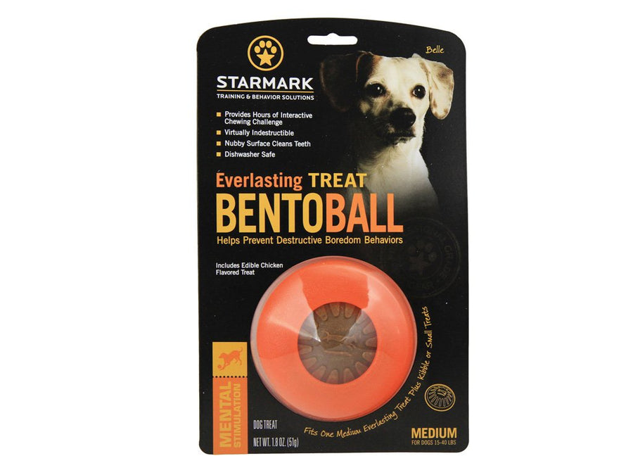 Everlasting Treat Bento Ball Tough Dog Chew Toy Medium