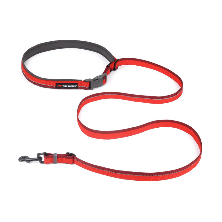 Dog Training Bungee Leash | Comfortable Neoprene Handle | Heavy Duty Zinc Alloy Hardware | Perfect Training Lead for Medium to Large Dogs