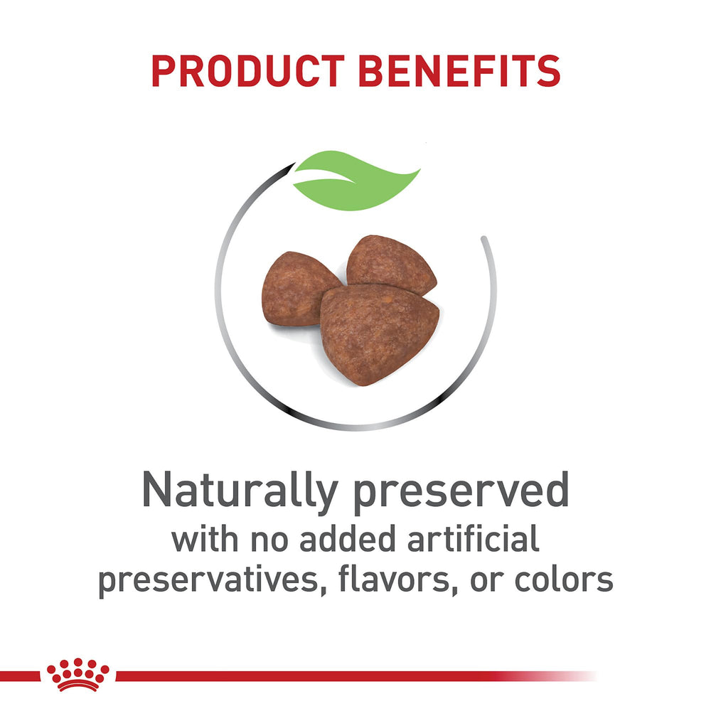 Size Health Nutrition Small Indoor Puppy Dry Dog Food, 2.5 lb bag