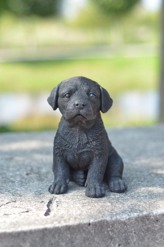 Labrador Puppy Statue, Black