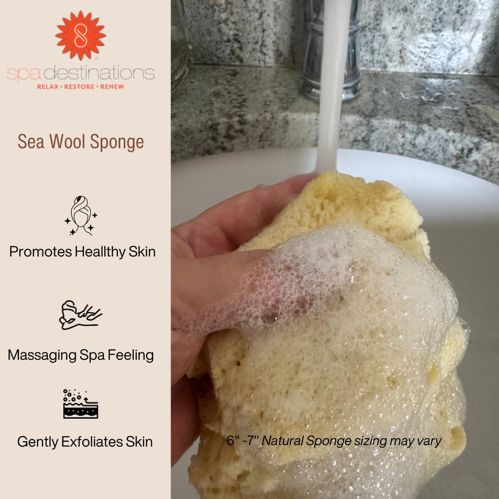 Natural Sea Wool Sponge 6-7 Natural Renewable Resource