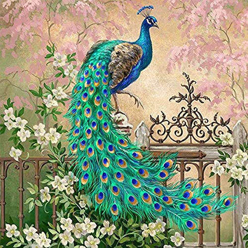 DIY Paint by Numbers Kit for Adults Kids Beginner Peacock DIY Canvas Painting by Numbers Painting Acrylic Painting for Home Decoration Paint by Number Peacock 16x20 Inch