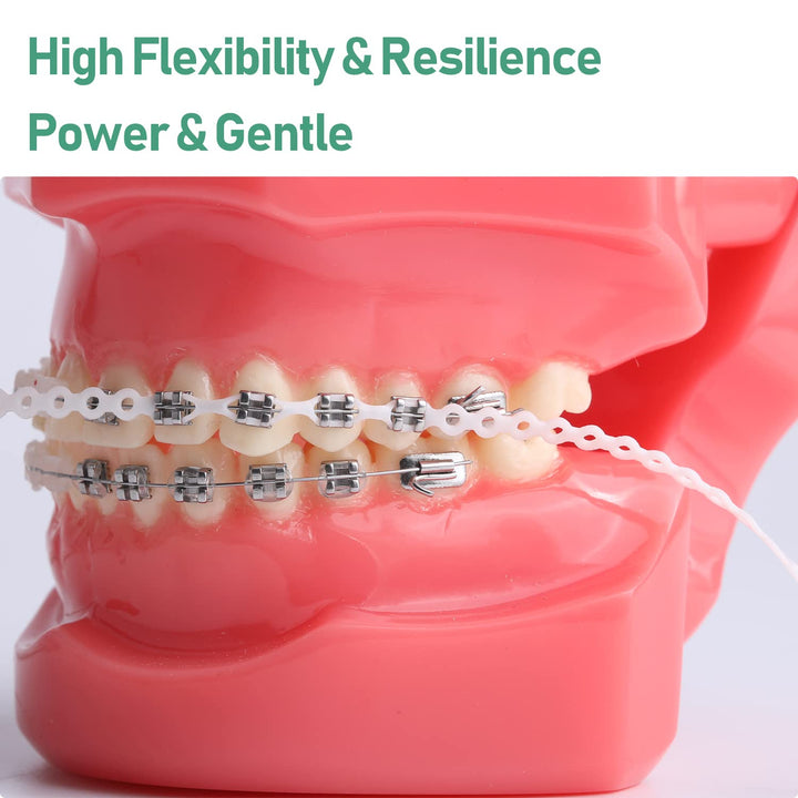 Teeth Power Chains Spool Elastic Brace Rubber Band Ligature Ties