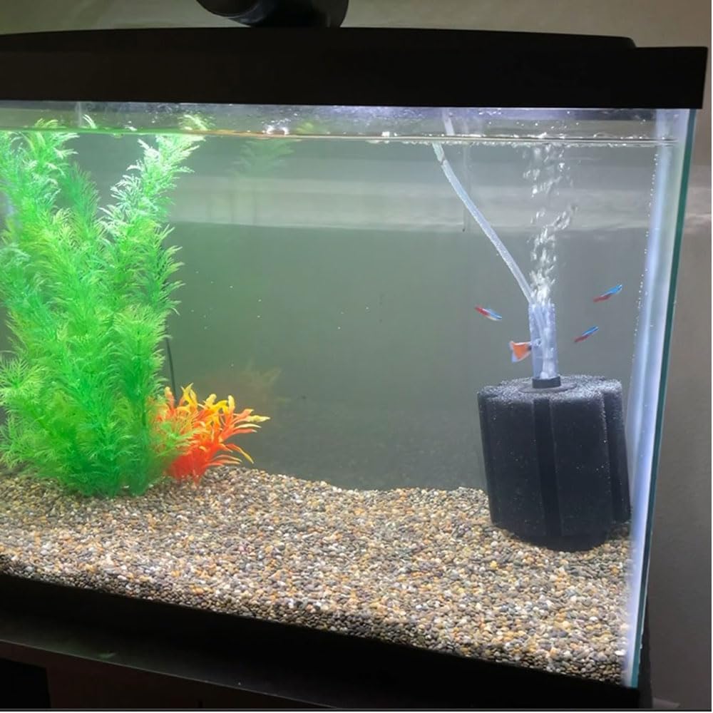 AQUAPAPA Bio Sponge Filter for Betta Fry Aquarium Fish Tank Up to 60 Gallon Each, 3-Pack (L)
