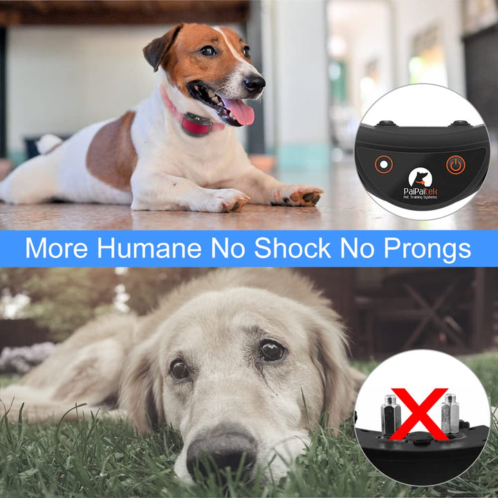 PaiPaitek No Shock Dog Training Collar with Remote, Lightest Vibration Collar for Small Dogs 5-15lbs & Medium Large Dogs, Rechargeable, Waterproof, 1600ft Range, No Prongs