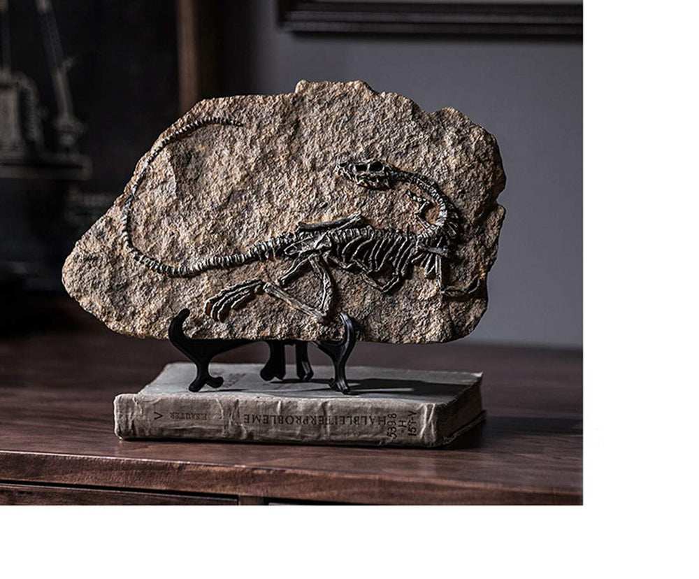 Resin Dinosaur Fossil Statue Model Simulated Skeleton Home Office Display Decorative Craft Box Decoration (Style 1)