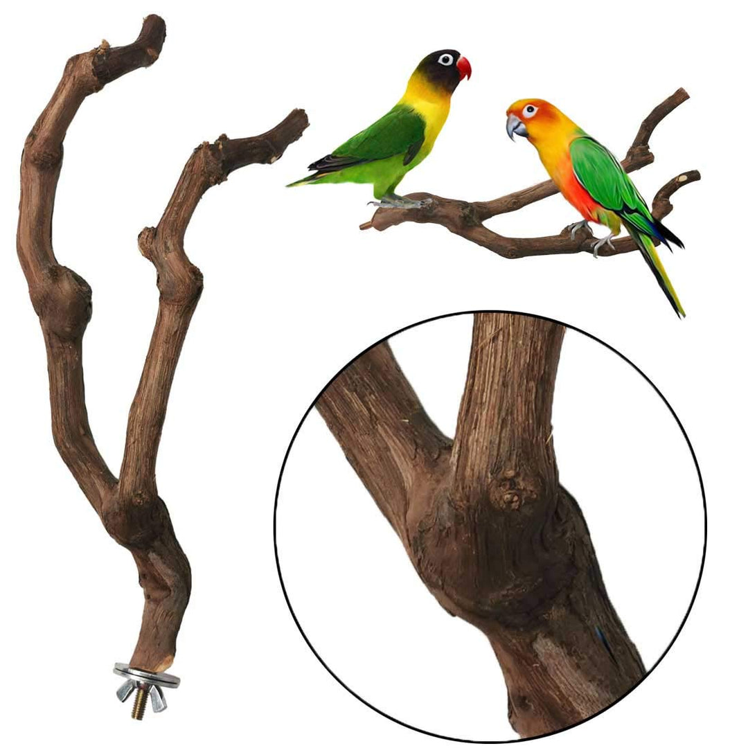 Natural Parrot Perch Bird Stand Pole Wild Grape Stick Paw Grinding Fork Parakeet Climbing Standing Branches Toy Chewable Cage Accessories for Small Budgies Cockatiels Lovebirds 2PCS