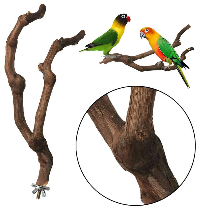 Natural Parrot Perch Bird Stand Pole Wild Grape Stick Paw Grinding Fork Parakeet Climbing Standing Branches Toy Chewable Cage Accessories for Small Budgies Cockatiels Lovebirds 2PCS