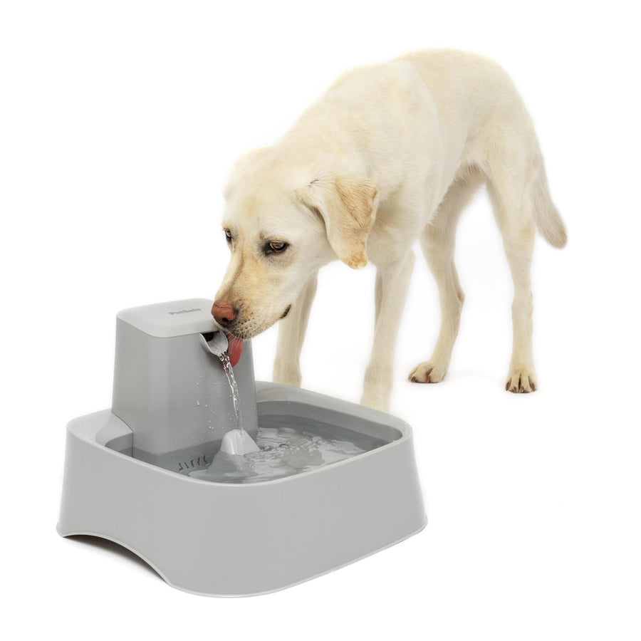 Drinkwell Pet Water Fountain, Dog Water Bowl (2 Gallon/256 oz) Cat and Dog Water Fountain, Dog Water Bowl Dispenser, Plastic Construction, Adjustable Flow Control, Easy to Clean Design, Grey