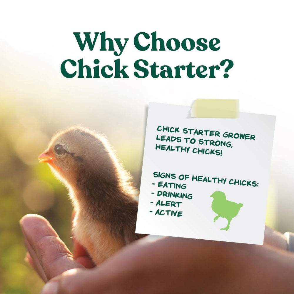 Chick Starter Grower, Medicated Chick Feed Crumble for Young Chickens, Formulated with Amprolium to Prevent Coccidiosis, 15 lbs