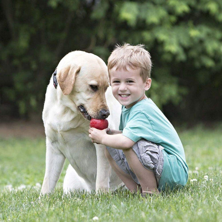 Classic Stuffable Dog Toy - Fetch & Chew Toy for Dogs - Treat-Filling Capabilities & Erratic Bounce for Extended Play Time - Durable Natural Rubber Material - for Extra Small Dogs
