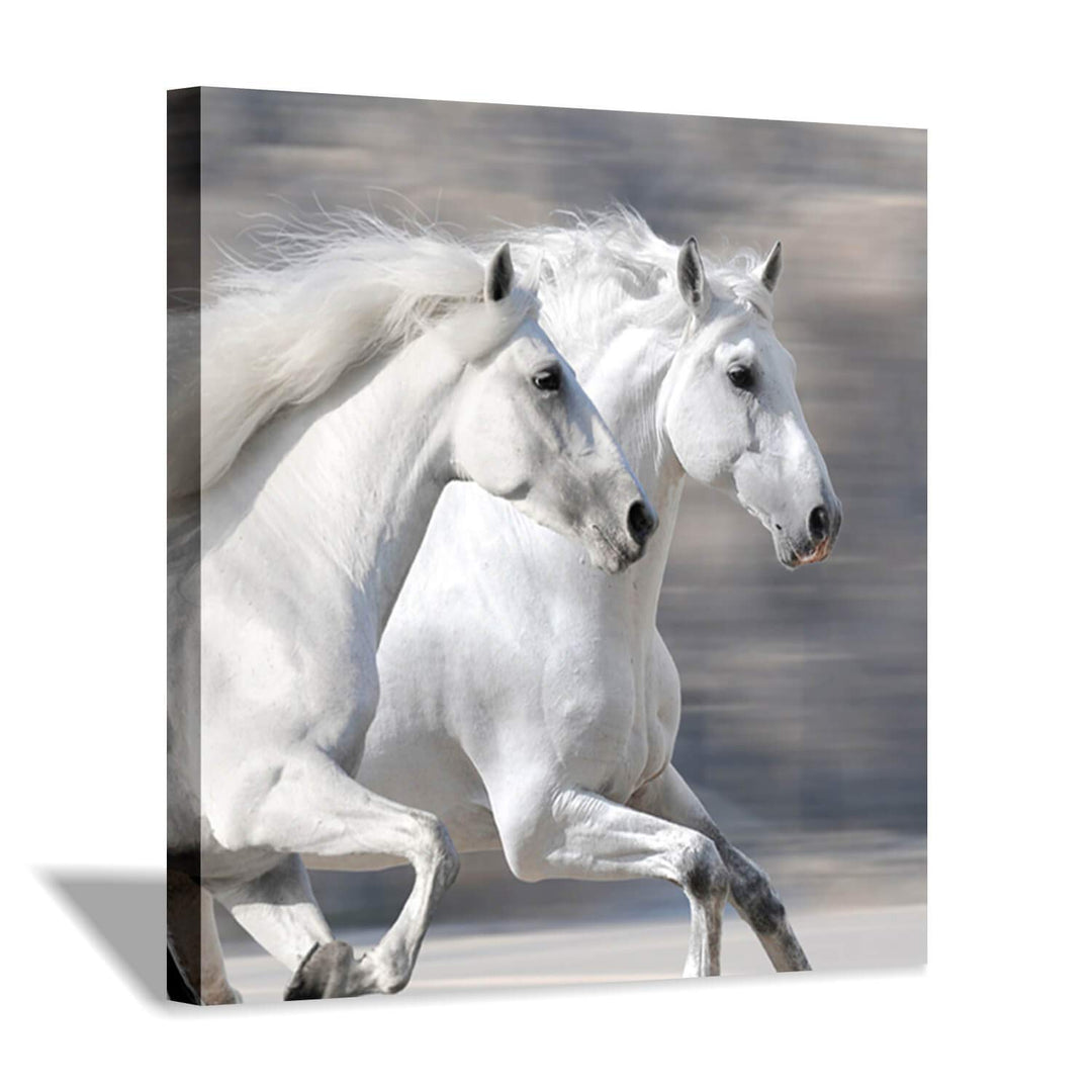 White Horse Picture Wall Art: Running Animal Artwork Painting Print on Wrapped Canvas for Living Room or Office (24'' x 24'')