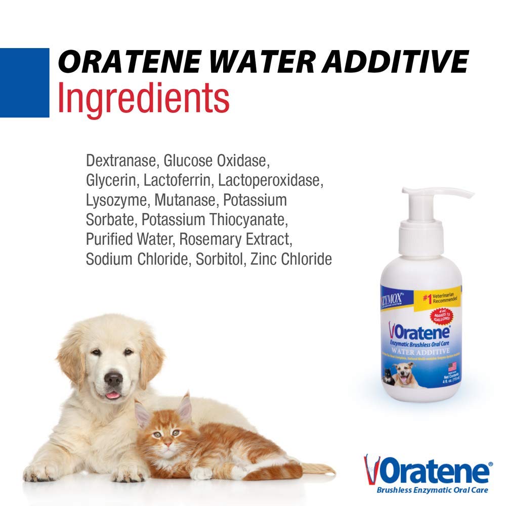 Zymox Oratene Water Additive Enzymatic Brushless Oral Care, 4oz