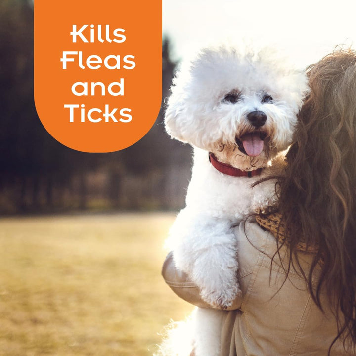 SENTRY Flea and Tick Shampoo for Dogs, Rid Your Dog of Fleas, and Ticks Tropical Breeze, 18 Fl Oz (Pack of 1)