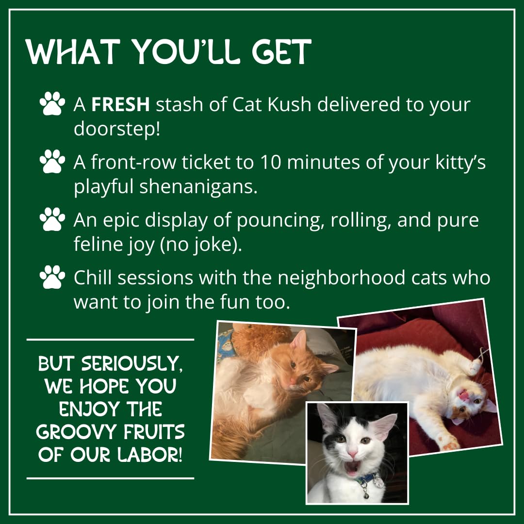 Organic Catnip , Safe Premium Blend Perfect for Cats, Instilled with Maximized Potency your Kitty is Guaranteed to Go Crazy for! (1 Cup)