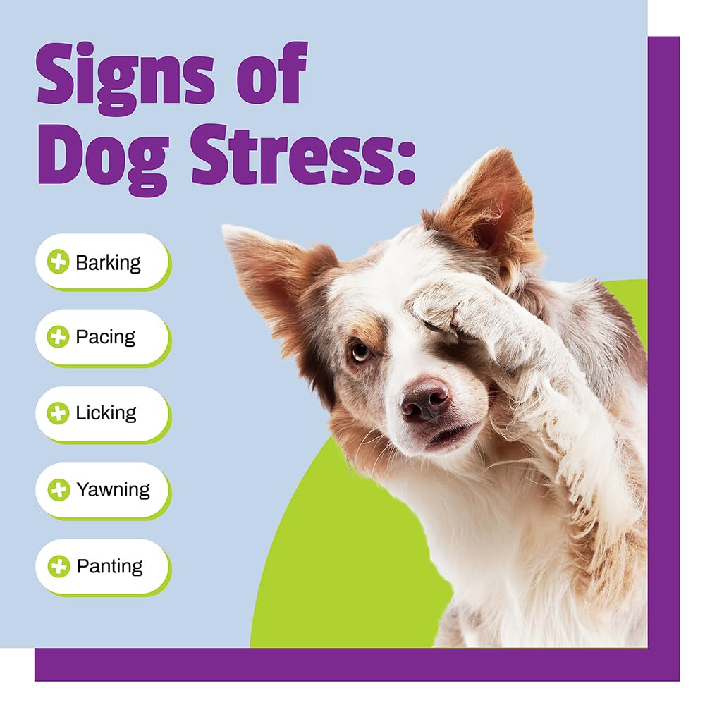 Calming for Dogs, 30 Chews - Naturally Sourced Stress and Anxiety Calming Ingredients for Behavior Support - Vet Recommended