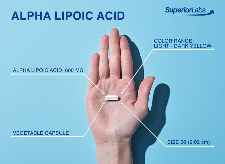 Alpha Lipoic Acid - Pure Non-GMO ALA 600mg (4 Month Supply) 120 Servings - Zero Synthetic Additives - Supports Healthy Aging, Nerve Health, Tingling Feet, Hands & Overall Wellbeing