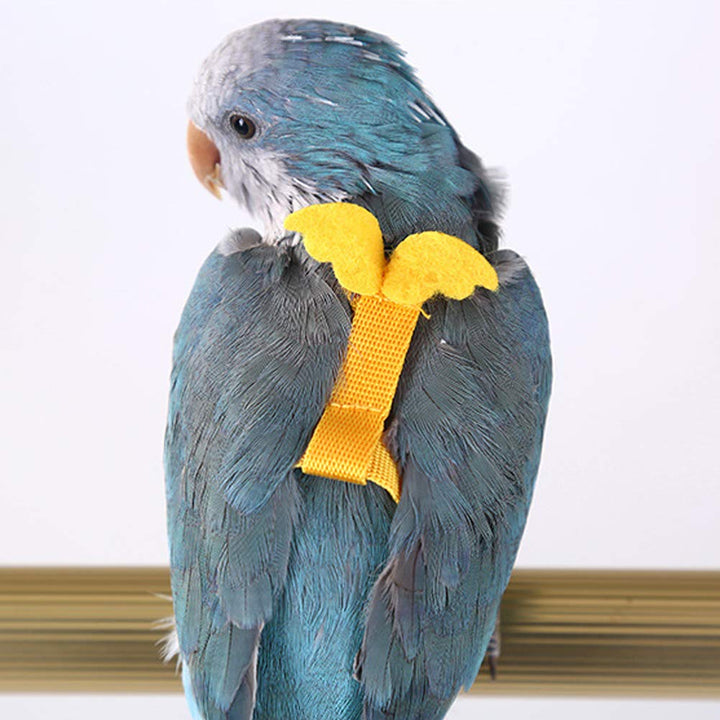 Adjustable Parrot Bird Harness Leash Set Anti-bite Training Harness for Parrots Outdoor Flying Rope for Cockatiel Small Birds Cockatiel Monk Parakeet Conure Crested Myna S (Yellow)