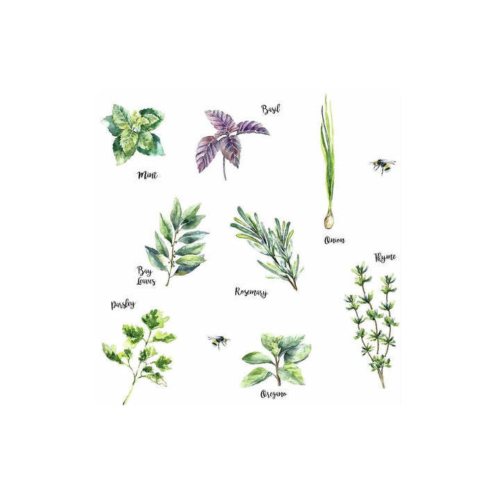 RMK3653SCS Watercolor Herb Peel and Stick Wall Decals