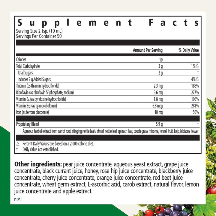 by Salus Iron & Herbs - Liquid Herbal Supplement for Energy Support - Iron Supplement with Vitamin C & B Complex Vitamins - for Men & Women - 17 Fl Oz