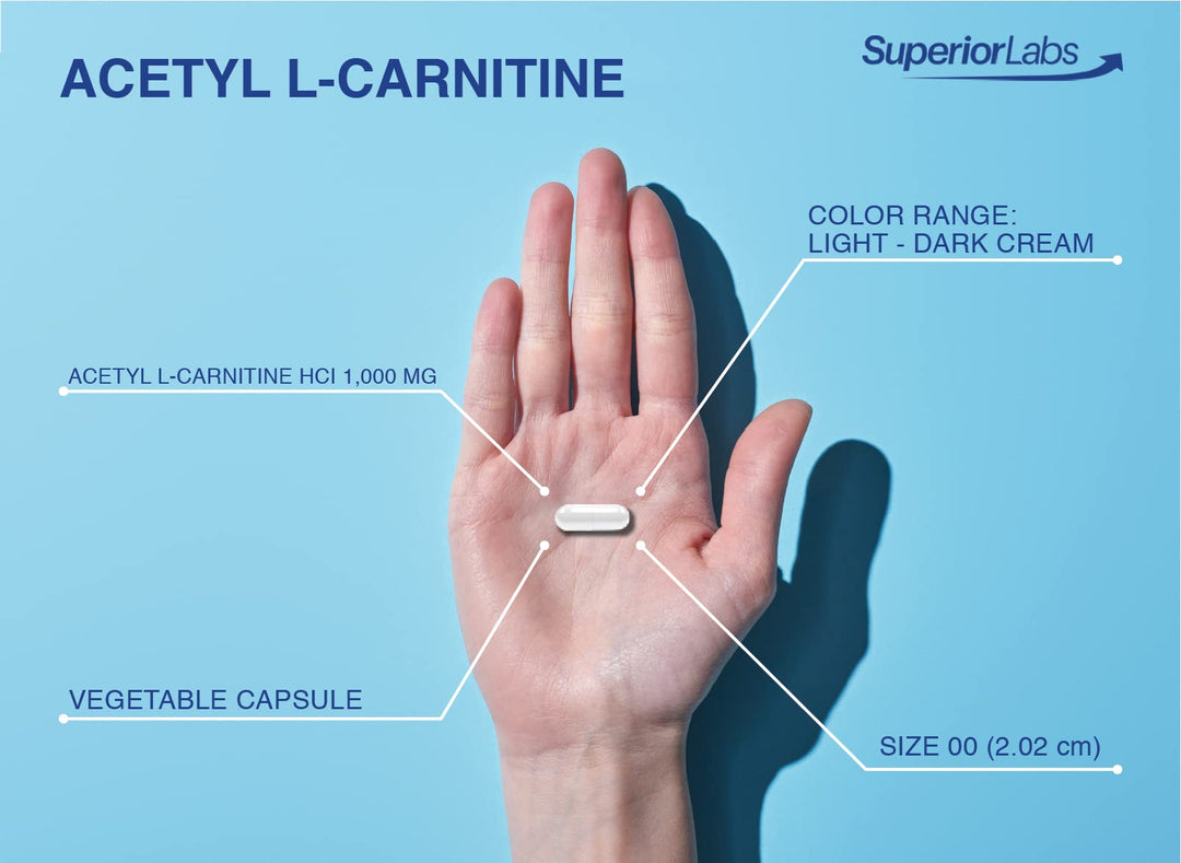 | Acetyl L-Carnitine 1000mg | 200 caps | Maximum Absorption | Pure Vegetable Capsules | Zero Synthetic Additives | Superior Absorption