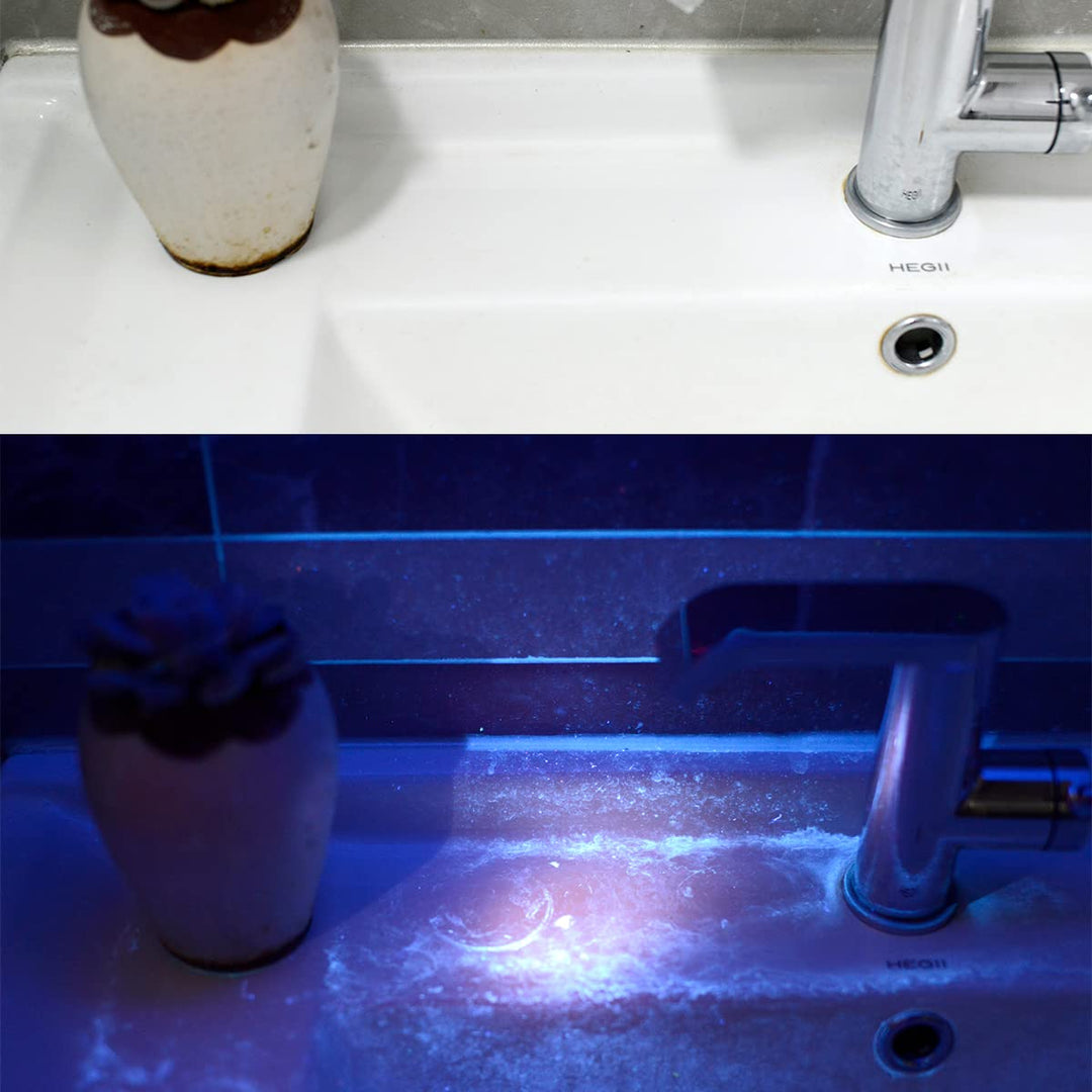 UV Light 365nm Pet Urine Detecting Flashlight with Black Filter Blacklight Torch