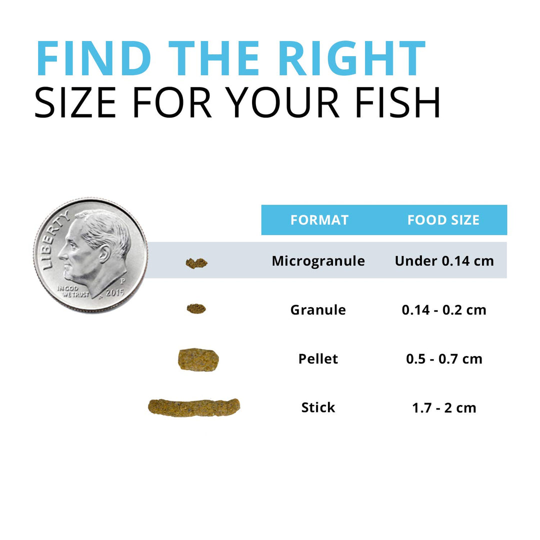 Bug Bites Tropical Fish Food, Small Granules for Small to Medium Sized Fish, 1.6 oz., A6577