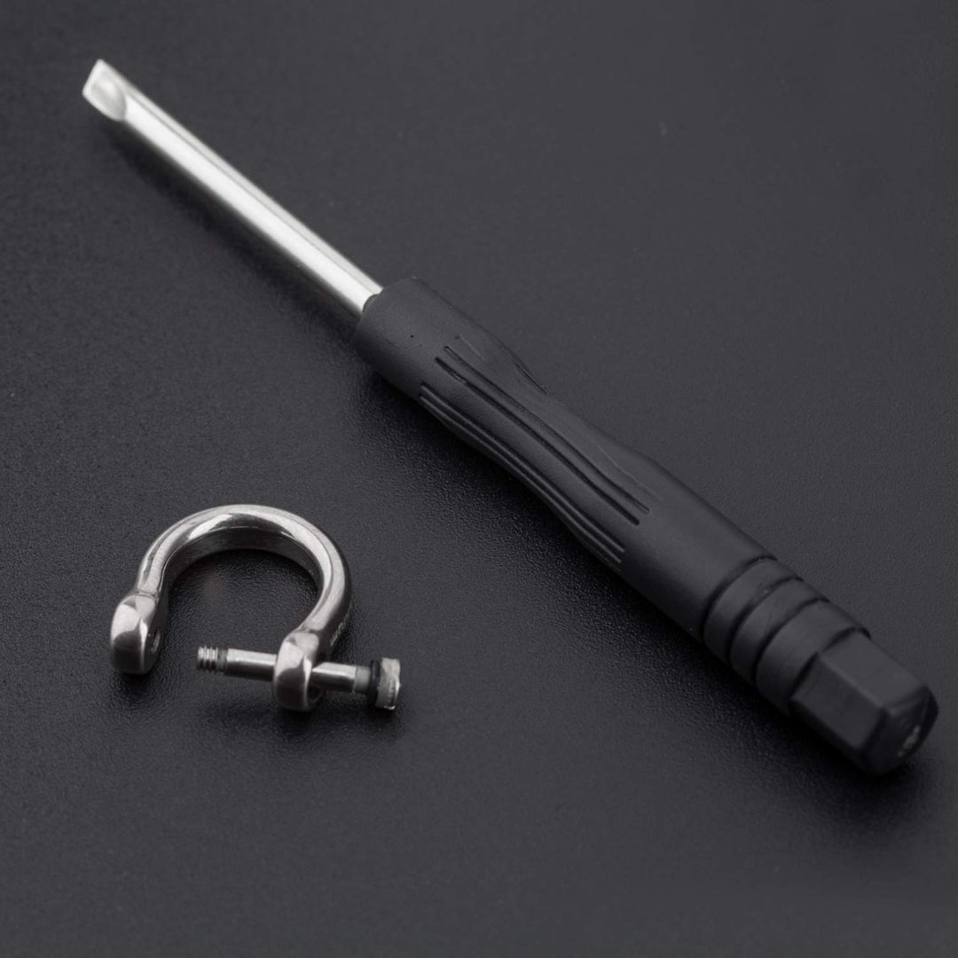 Titanium D-Rings with Screw Shackle, U Shape Key Chains Rings, Car Keys Tools, DIY Leather Craft Purse/Wallet Buckle 1 pcs (Polished, Tiny)