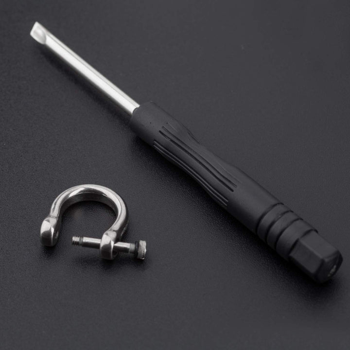 Titanium D-Rings with Screw Shackle, U Shape Key Chains Rings, Car Keys Tools, DIY Leather Craft Purse/Wallet Buckle 1 pcs (Polished, Tiny)