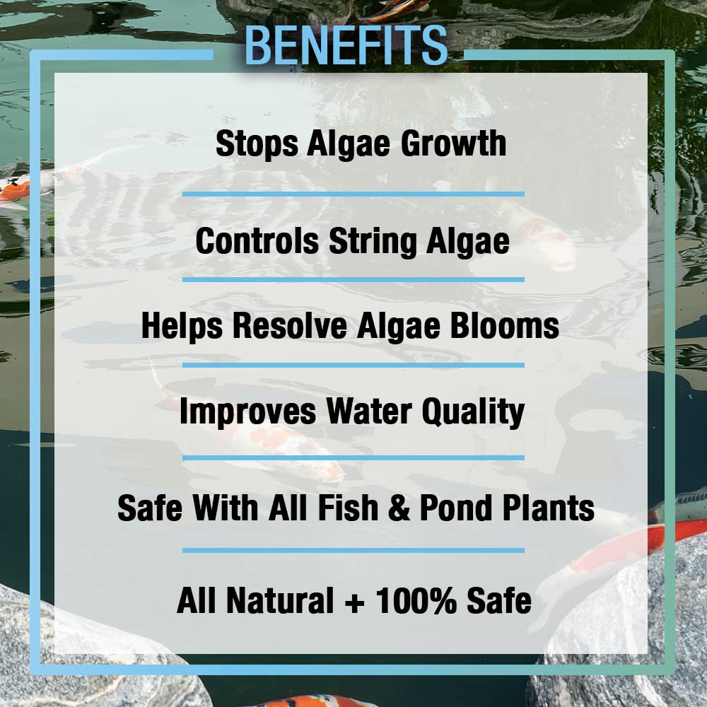 ALGAGAL Algaway 5.4 Algae Control Treatment for Ponds and Water Gardens, Safe for Koi Fish, Goldfish, Plants, and Decorations, 1 Gallon