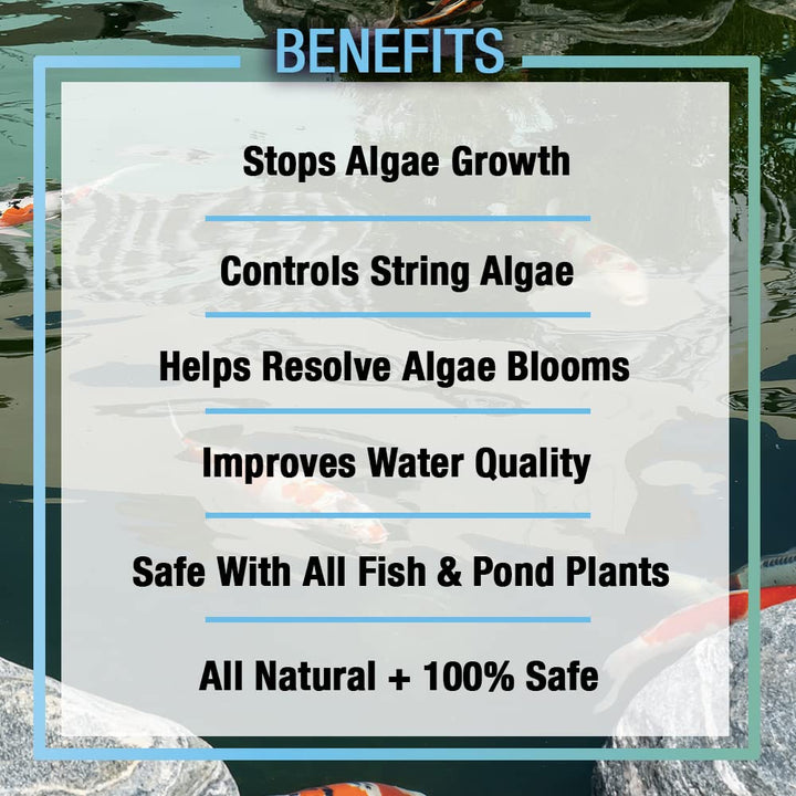 ALGAGAL Algaway 5.4 Algae Control Treatment for Ponds and Water Gardens, Safe for Koi Fish, Goldfish, Plants, and Decorations, 1 Gallon