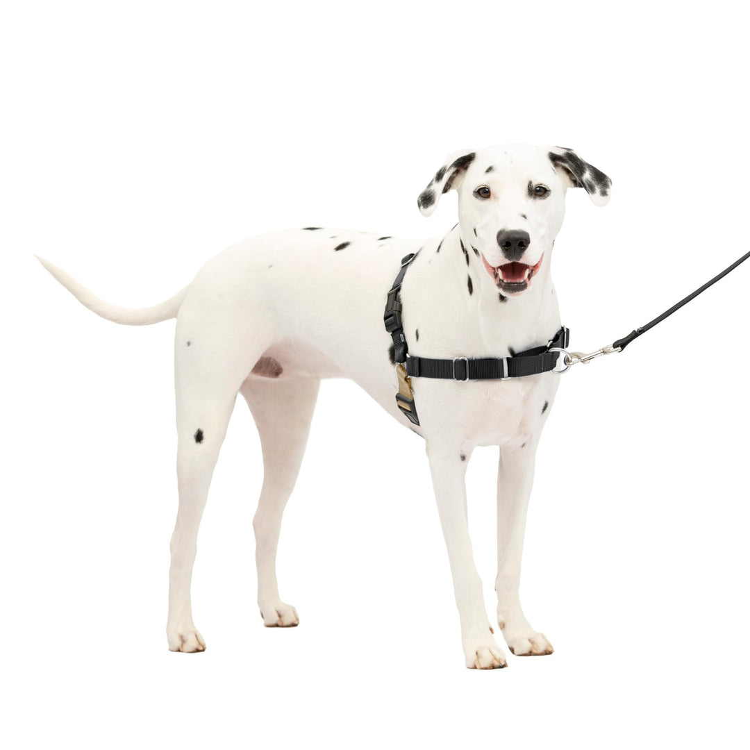 Easy Walk No-Pull Dog Harness - The Ultimate Harness to Help Stop Pulling - Take Control & Teach Better Leash Manners - Helps Prevent Pets Pulling on Walks, Medium/Large, Black/Silver
