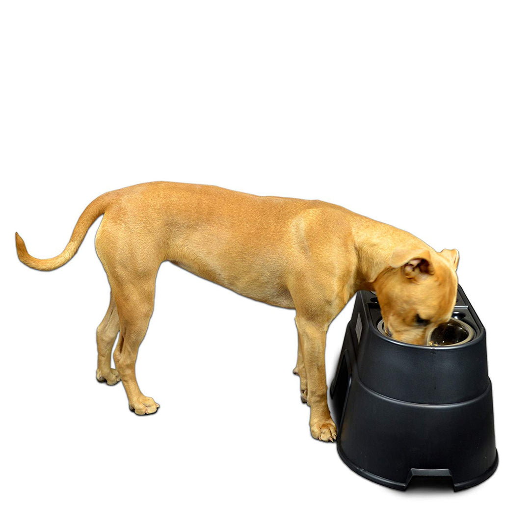 OurPets Comfort Diner Elevated Dog Food Dish (Bowls Available in 4, 8 inches and 12 inches for Large ; Medium and Small Dogs); Black; 12-inch