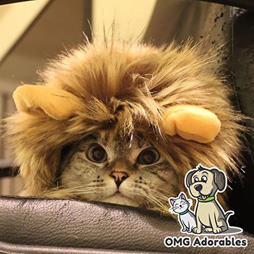 - Lion Mane Costume for Cats