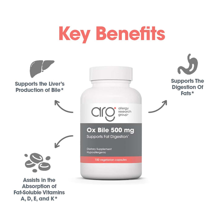 Ox Bile 500mg - Digestive Enzymes for Liver, Ox Bile Supplements with Digestive Enzymes, Gallbladder Supplements, Fat Digestion Support, Hypoallergenic - 100 Count