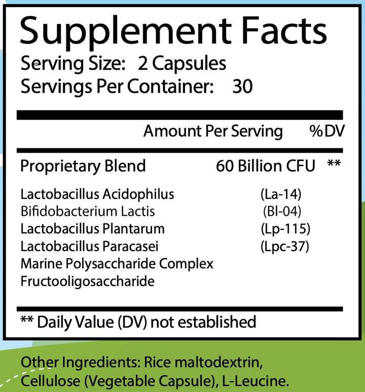 Probiotics 60 Capsules: Nourish Your Gut for Optimal Digestive Health with Proprietary Blend of 60 Billion CFU (60 Count)