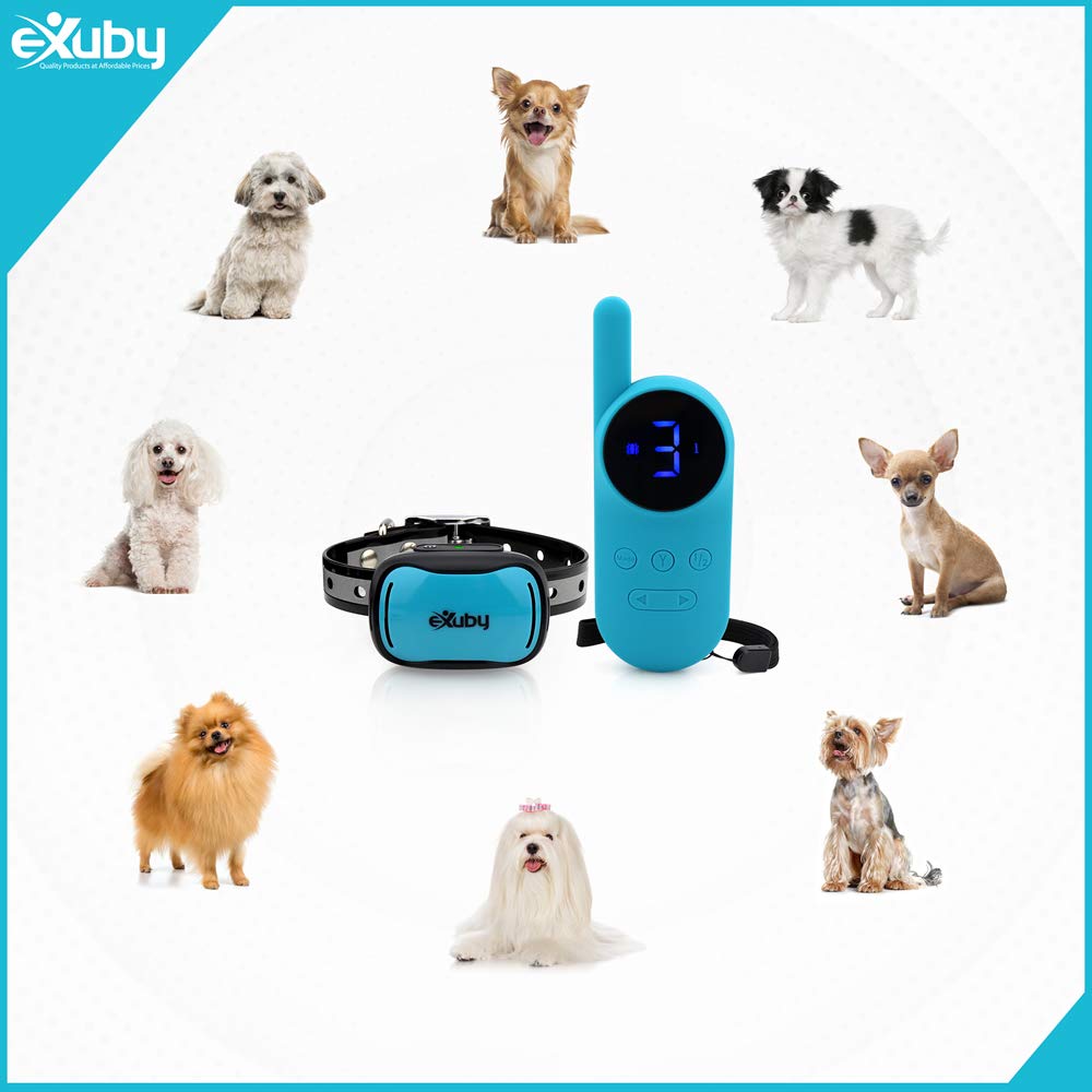 - Tiny Shock Collar for Small Dogs 5-15lbs - Smallest Collar on The Market - Sound, Vibration, & Shock - 9 Intensity Levels - Pocket-Size Remote - Long Battery Life - Water-Resistant (Teal)