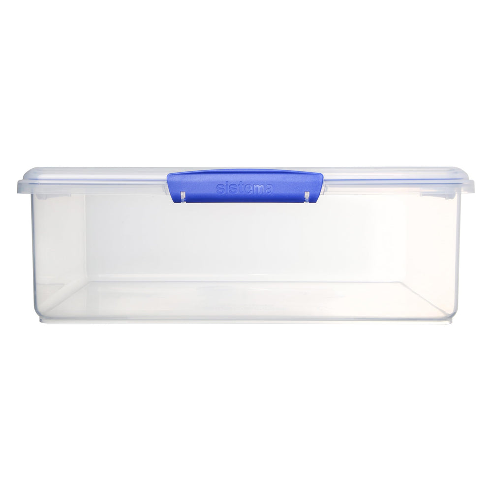 Large Food Storage Container with Lid for Lunch