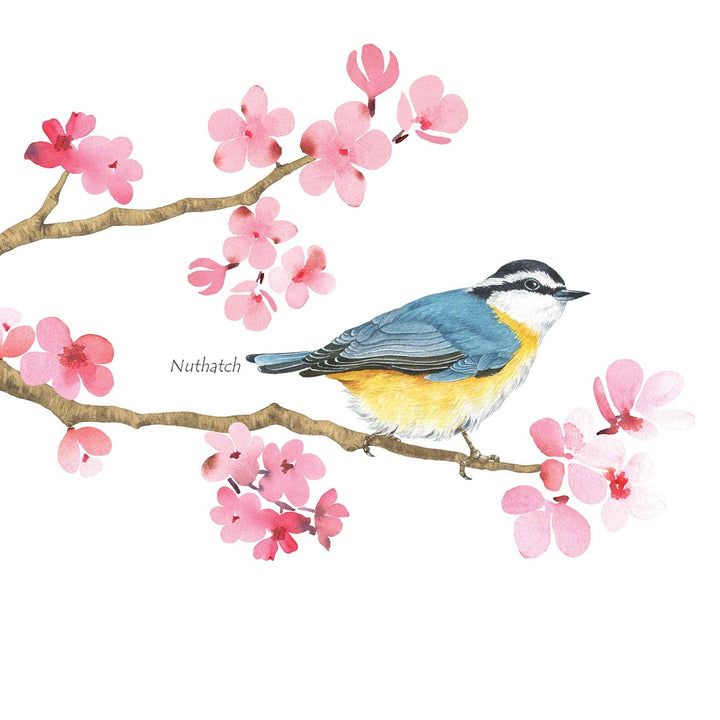 DWL-1904 Cherry Blossom Garden Birds Kids Wall Stickers Wall Decals Peel and Stick Removable Wall Stickers for Kids Nursery Bedroom Living Room dcor