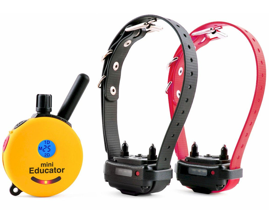 E-Collar Humane Dog Training Collar with Remote, 100 Safe Tapping Stimulation Levels, Night Light, Waterproof, Rechargeable, 1/2 Mile 2 Small-Medium Dogs, Yellow